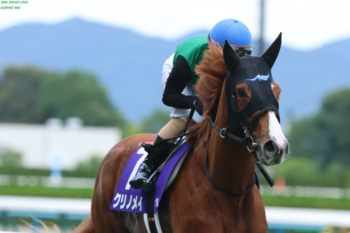 オルフェーヴル」のYahoo!リアルタイム検索 - X（旧Twitter）を