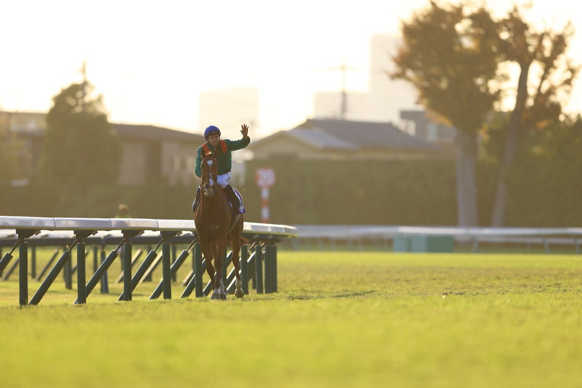 アガカーンスタッド所有馬、カランダガンがジャパンカップ制覇！