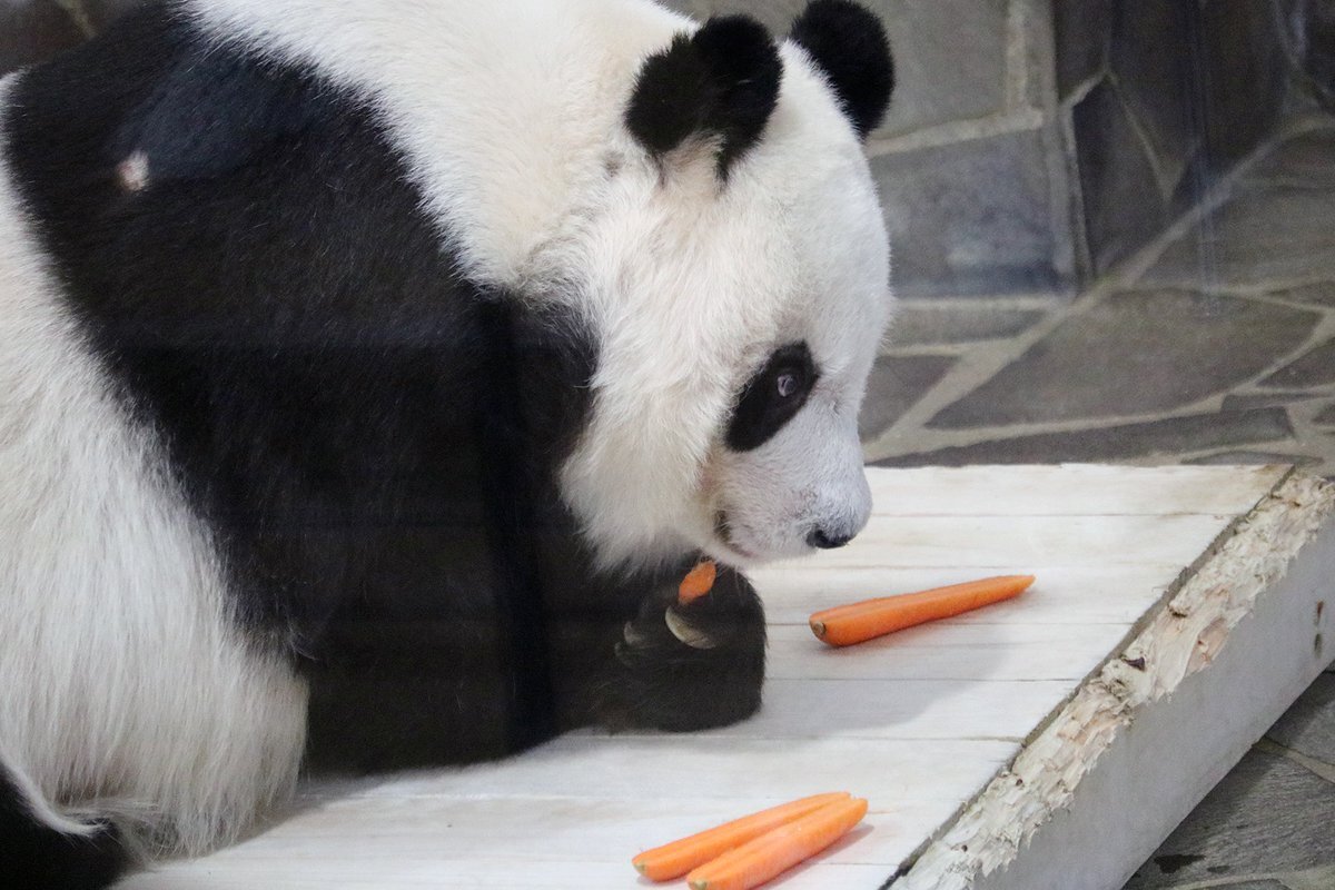 たんたんさん。ご確認お願いします たんたんさん。ご確認お願いします♡ たんたん - البحث / X