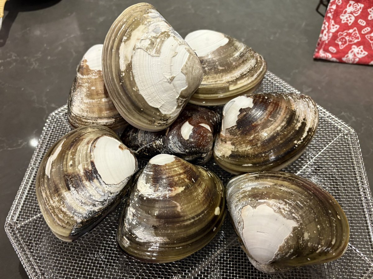 ハライチのターン、リスナーから熱い反応！ 