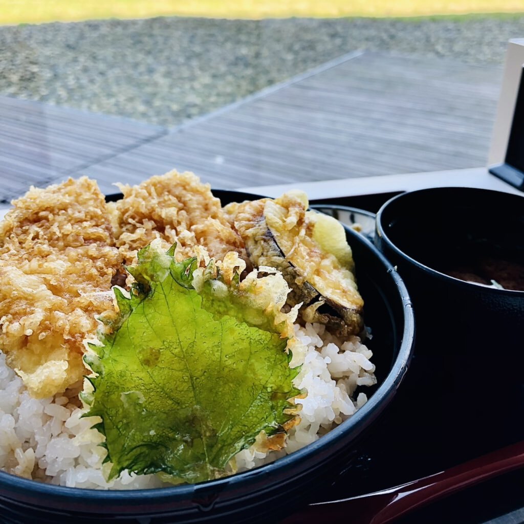 琵琶湖博物館 のtwitter検索結果 Yahoo リアルタイム検索