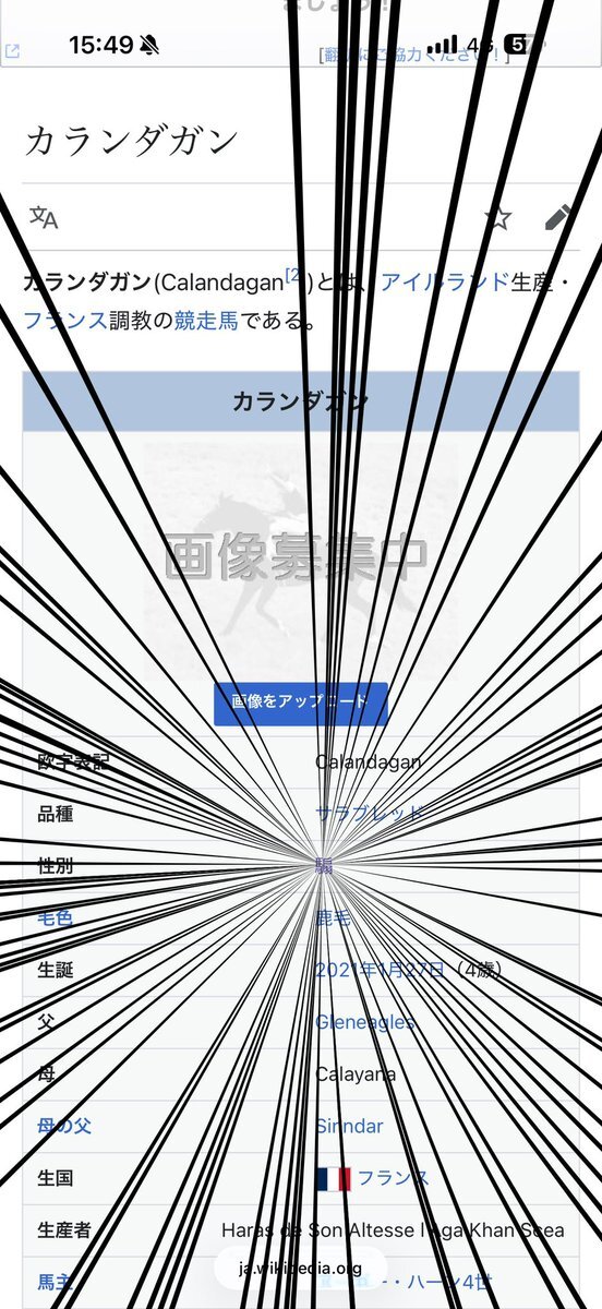 カランダガンジャパンカップ制覇！ 騸馬の活躍に称賛と惜しむ声