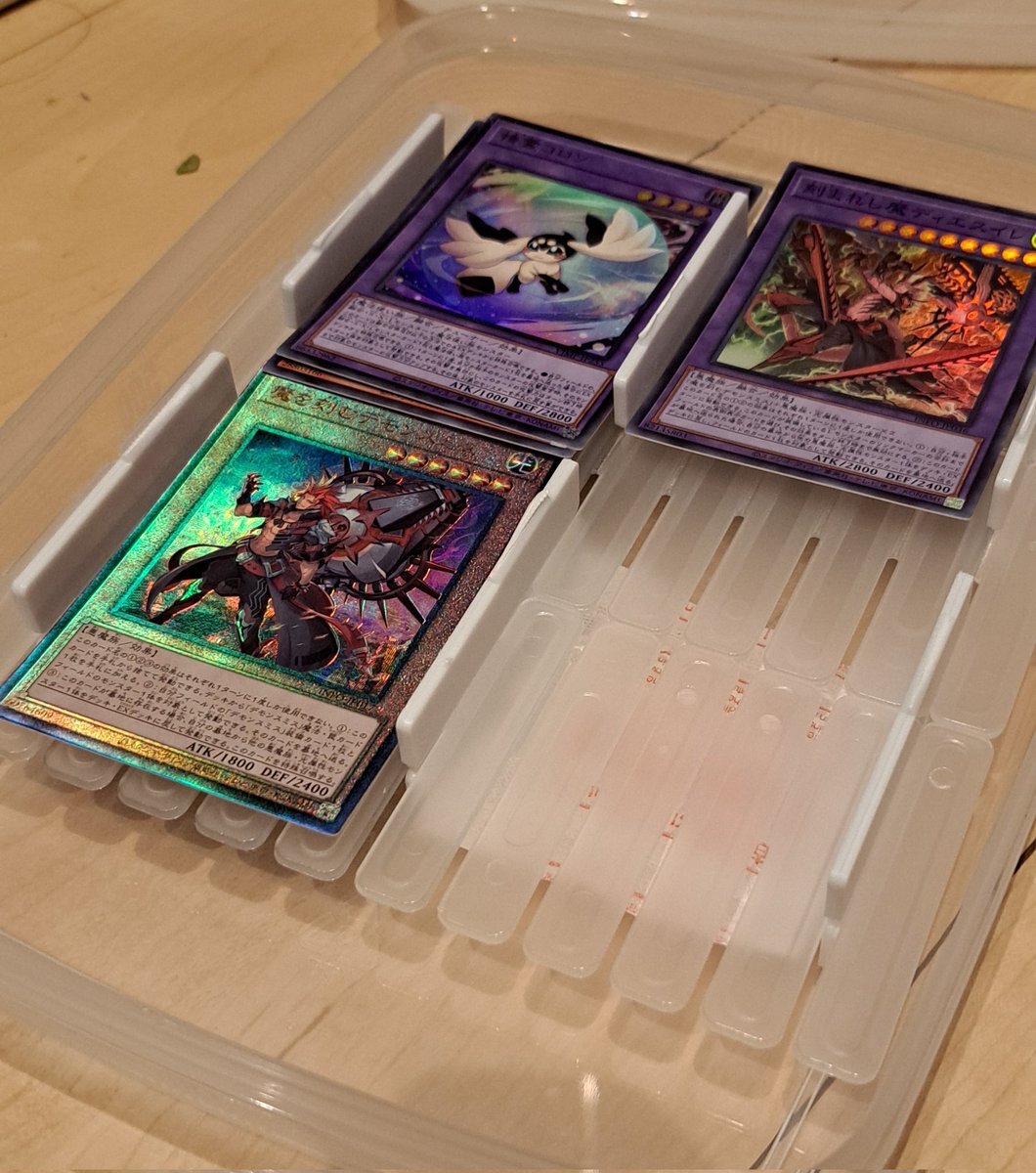 政治や仕事、恋愛など、様々なテーマで意見交換が活発に