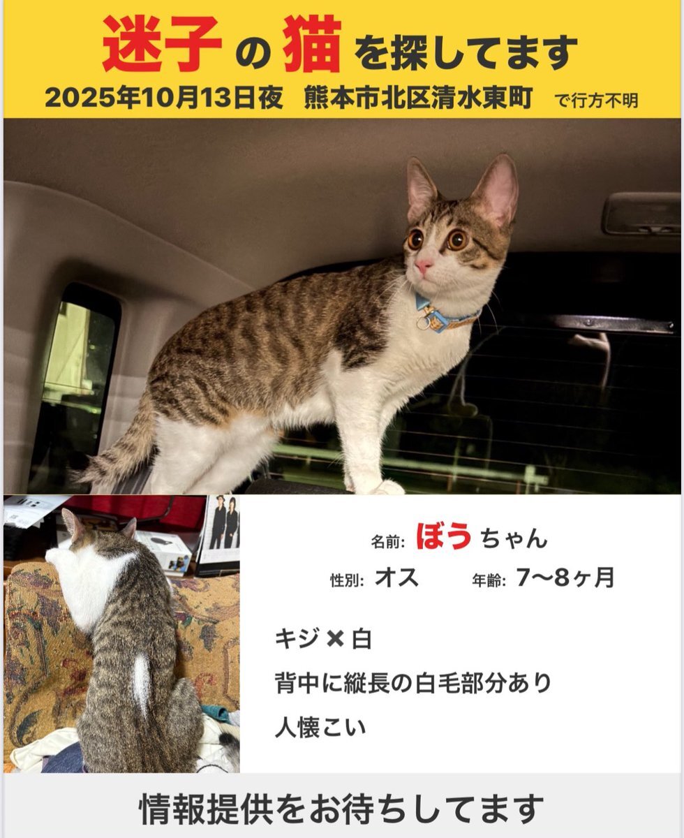 X（旧Twitter）で話題のおもしろ画像や動画 - Yahoo