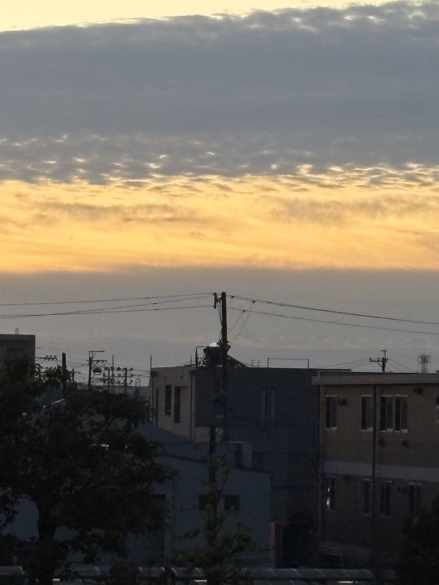 気温8度で寒さを感じる人も