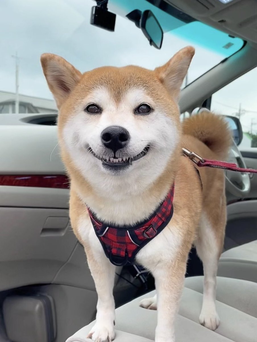 みやぞん OR #みやぞん」のYahoo!リアルタイム検索 - X（旧