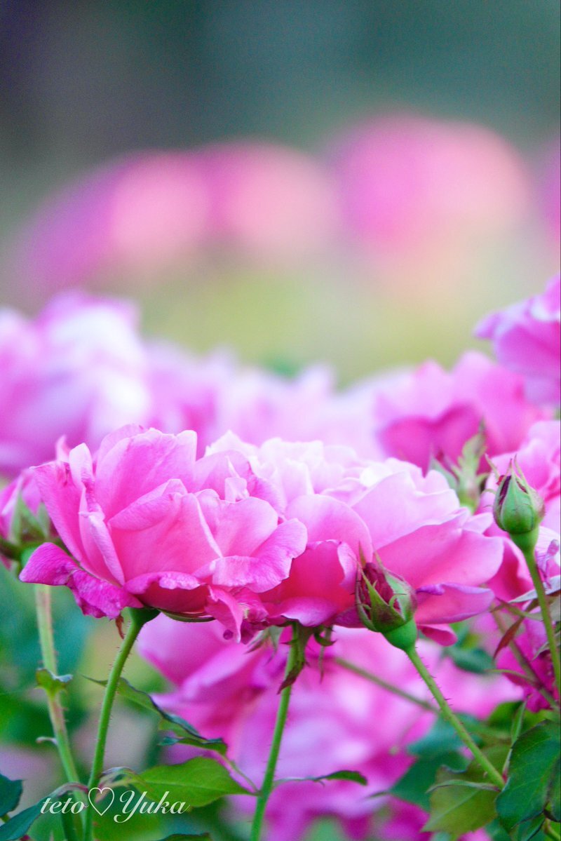 放射冷却で寒さを感じる！SNS投稿で朝方の気温が話題に