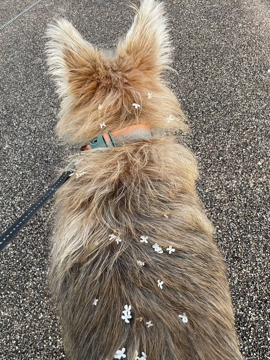 ⚡️o'ᆺ'o⚡️無言取引失礼します。 X（旧Twitter）で話題のおもしろ画像や動画 - Yahoo!リアルタイム検索