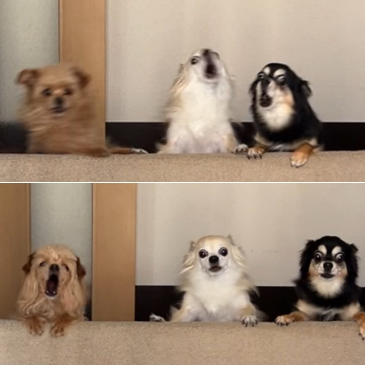 アップライトピアノ」のYahoo!リアルタイム検索 - X（旧Twitter