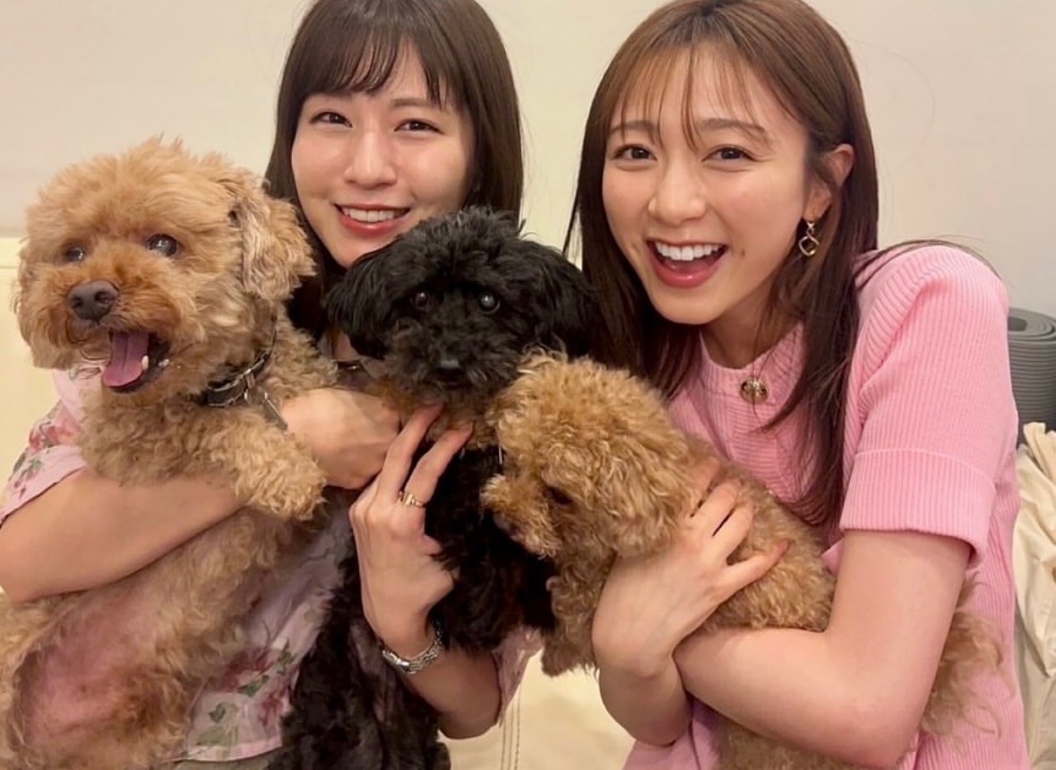 なむるさま確認ページ♡ すまるぴん 【ホロクル10th F-29-30】 (@_smallpine_) / X