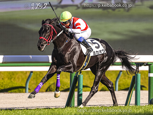 ヨカヨカの初仔ヨカオウ、待望の初勝利！ 