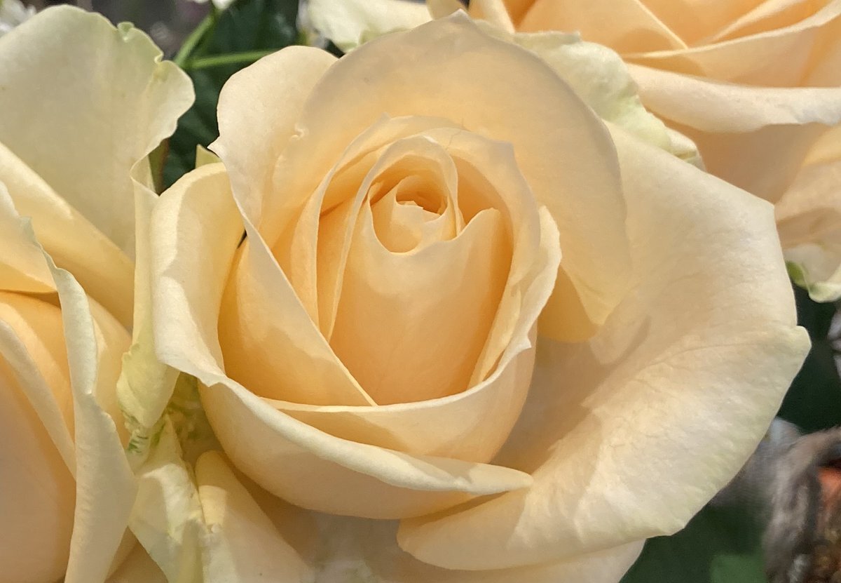 11月25日、様々な記念日とイベントがSNSで話題に