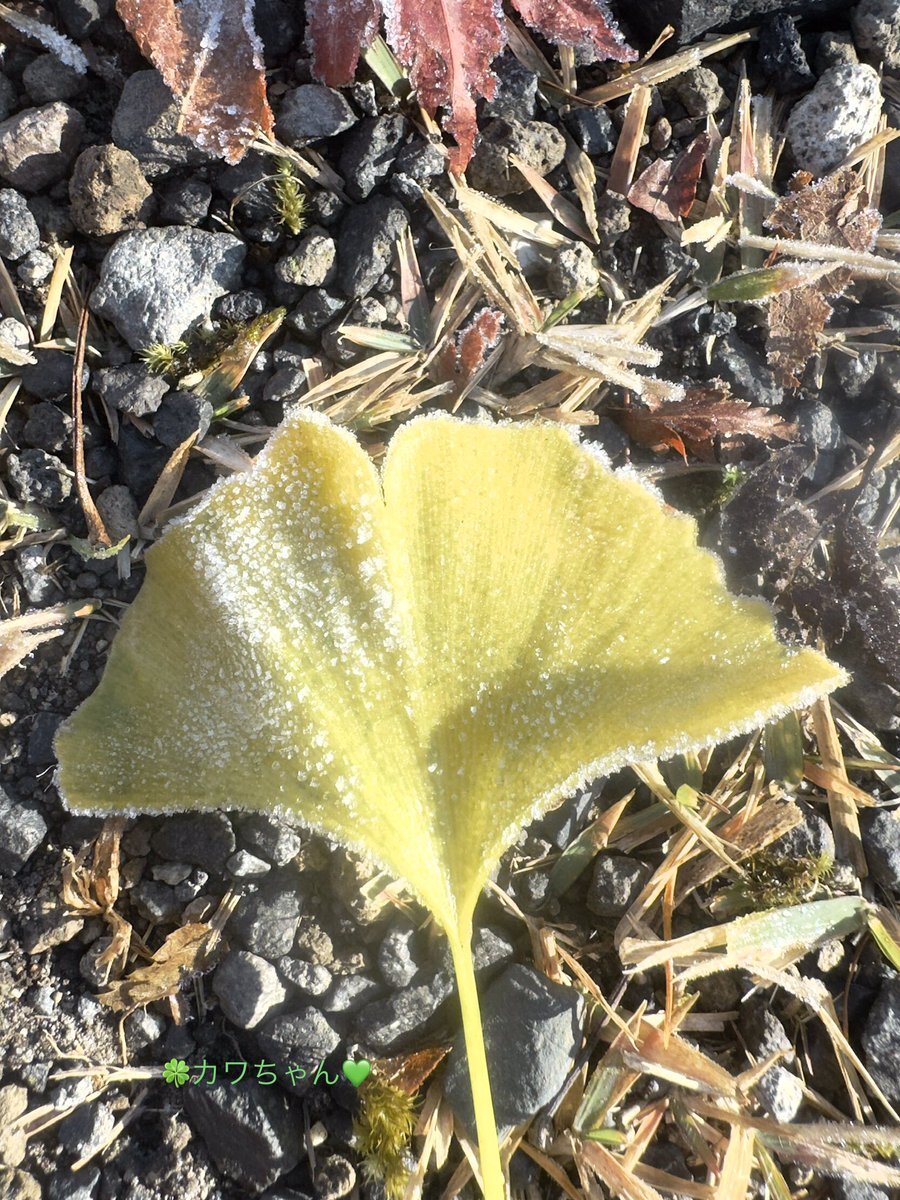 週末の始まりを祝う、ユーザーたちのSNS投稿