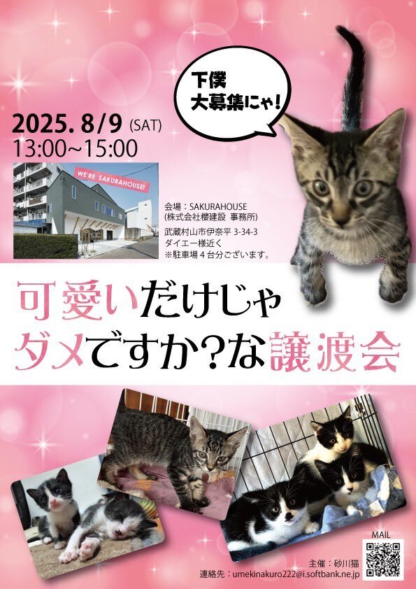 プロフ画像の子猫里親募集中です✨譲渡 子猫里親募集中」のYahoo!リアルタイム検索 - X（旧Twitter）を