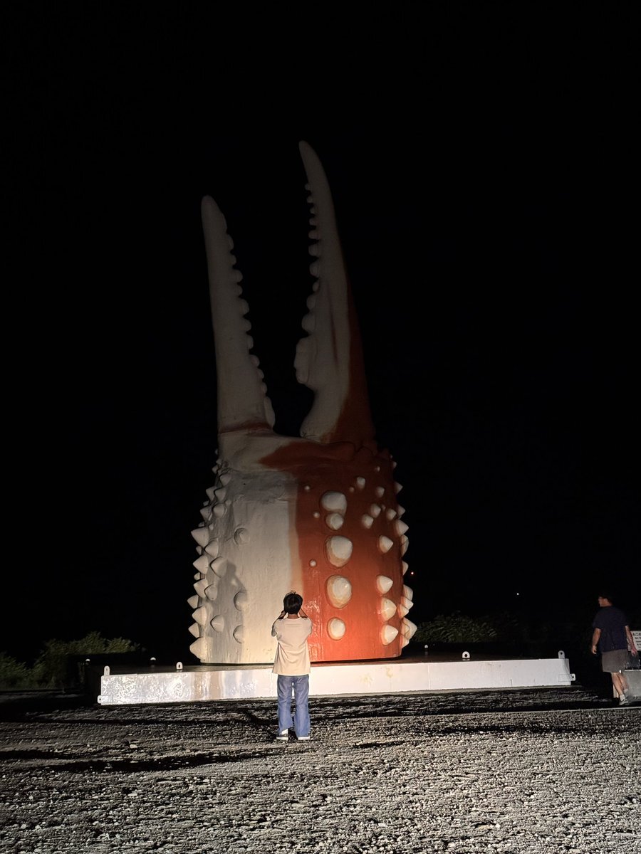 X（旧Twitter）で話題のおもしろ画像や動画 - Yahoo