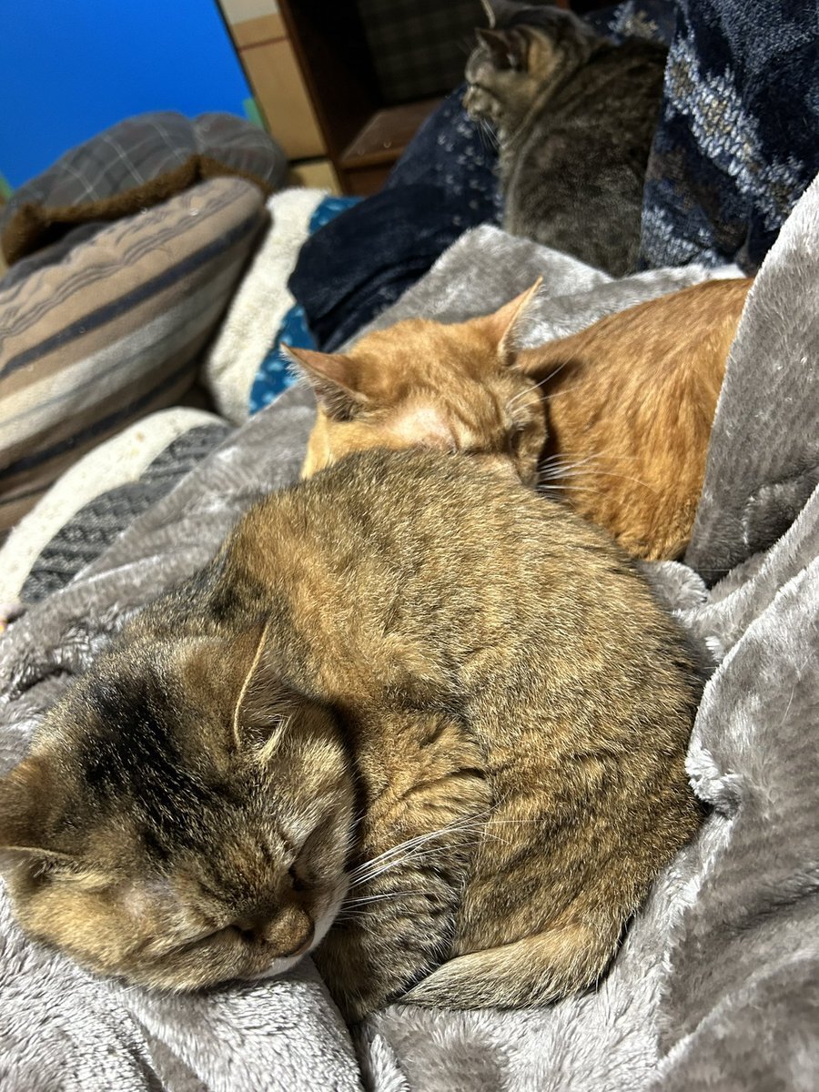 YouTube不具合で配信や投稿に影響？ 多くのユーザーが不安の声