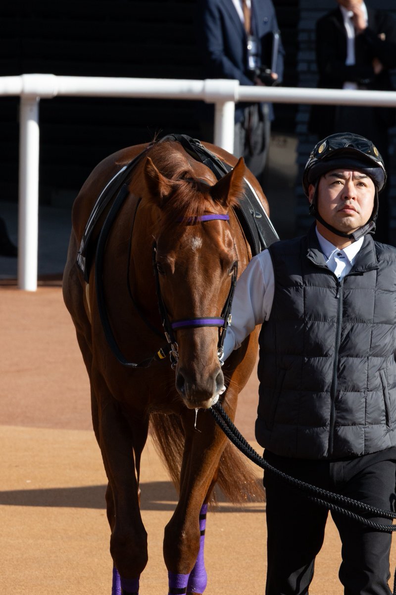 カペルブリュッケ、栂尾特別で圧勝！ 斎藤新騎手も笑顔