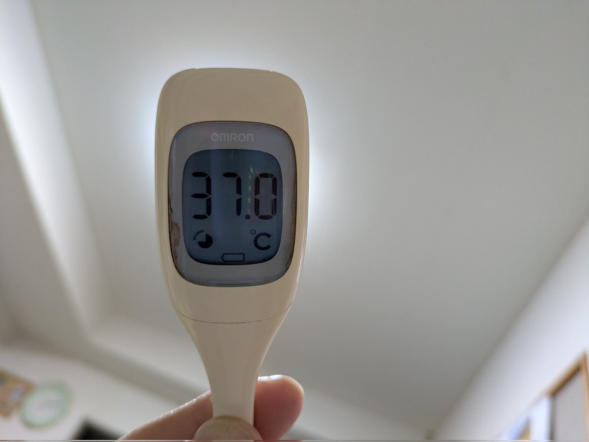 FIFAワールドカップ2026！グループEはドイツ、コートジボワール、エクアドルと激戦へ