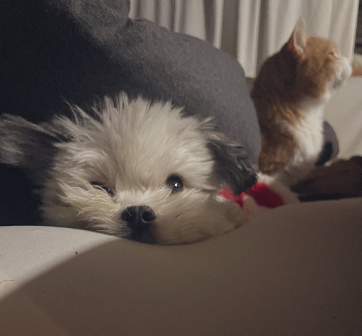 緊急地震速報に驚きと不安　九州で地震発生