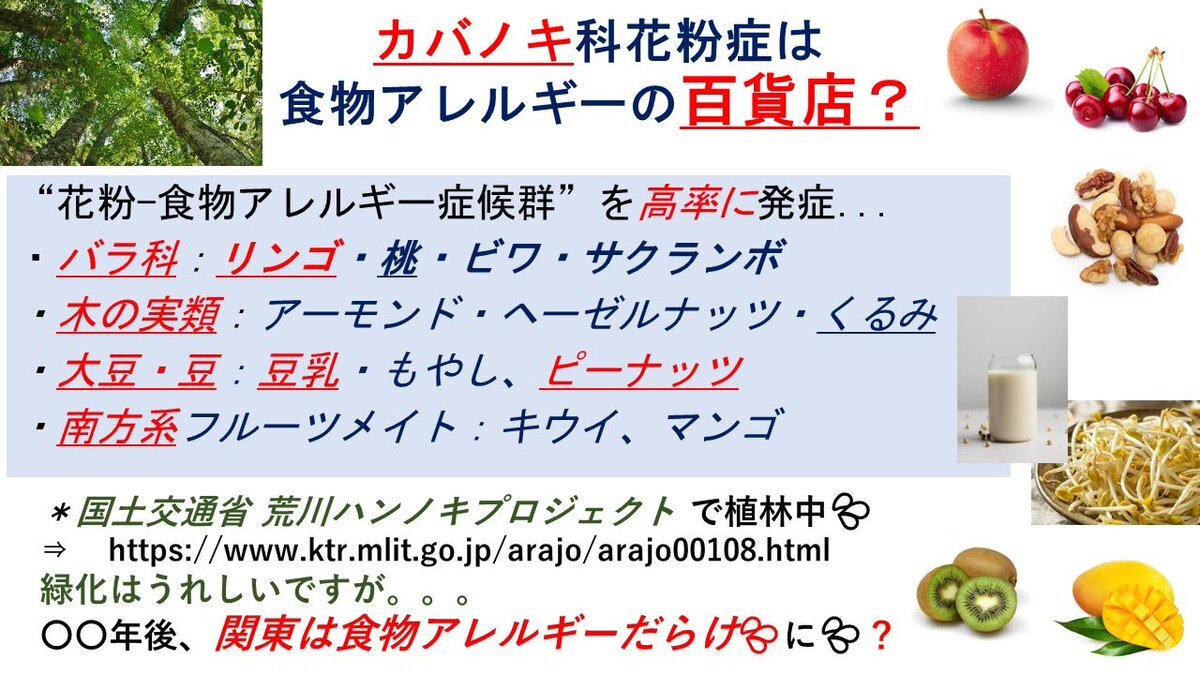 花粉症、SNSユーザーはどう感じている？