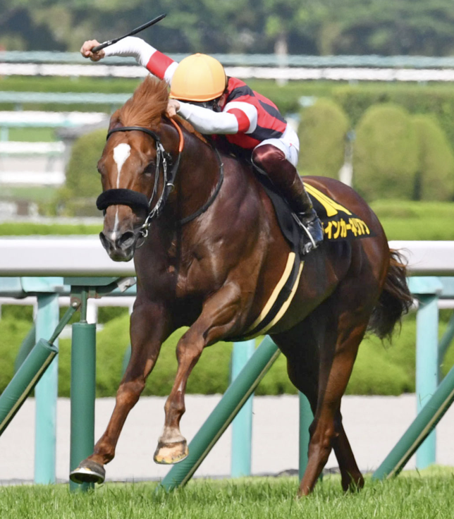 ウインカーネリアン、スプリンターズステークス制覇！(2025/09