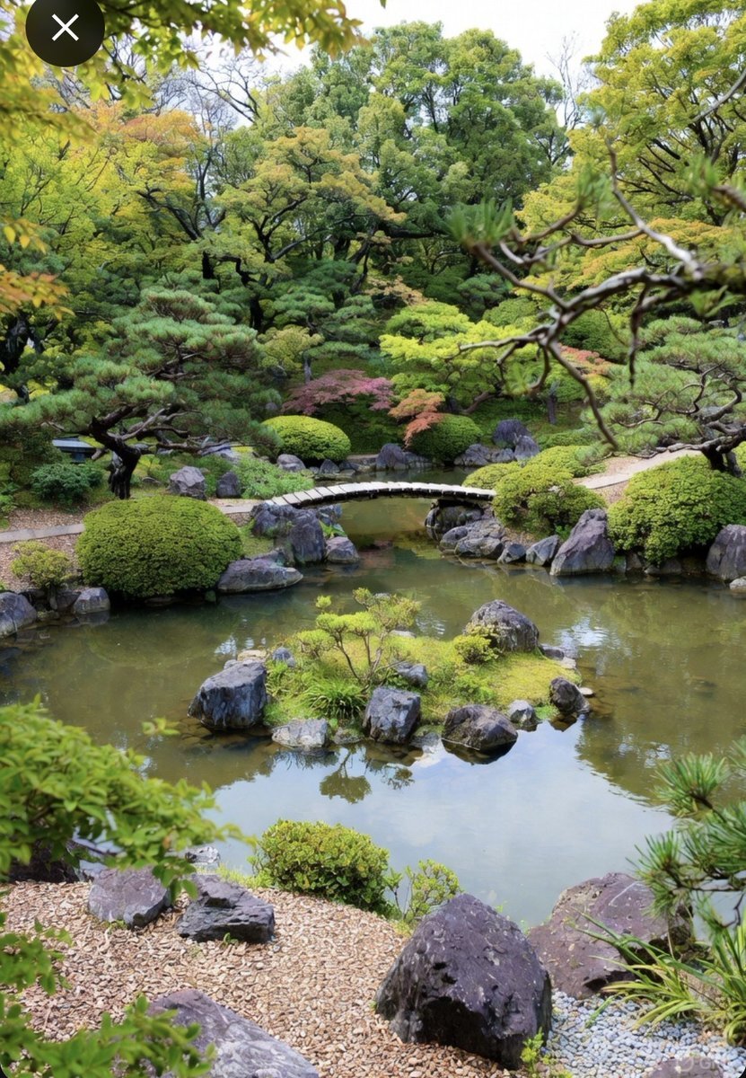 汚い言葉使用に関する議論がSNS上で広がる