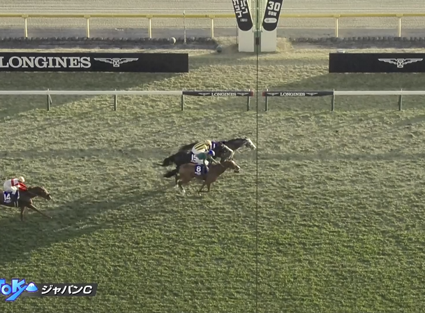 アドマイヤテラ、ジャパンカップでゴール前で先着も落馬！ファンは「実質勝ってる」と騒然