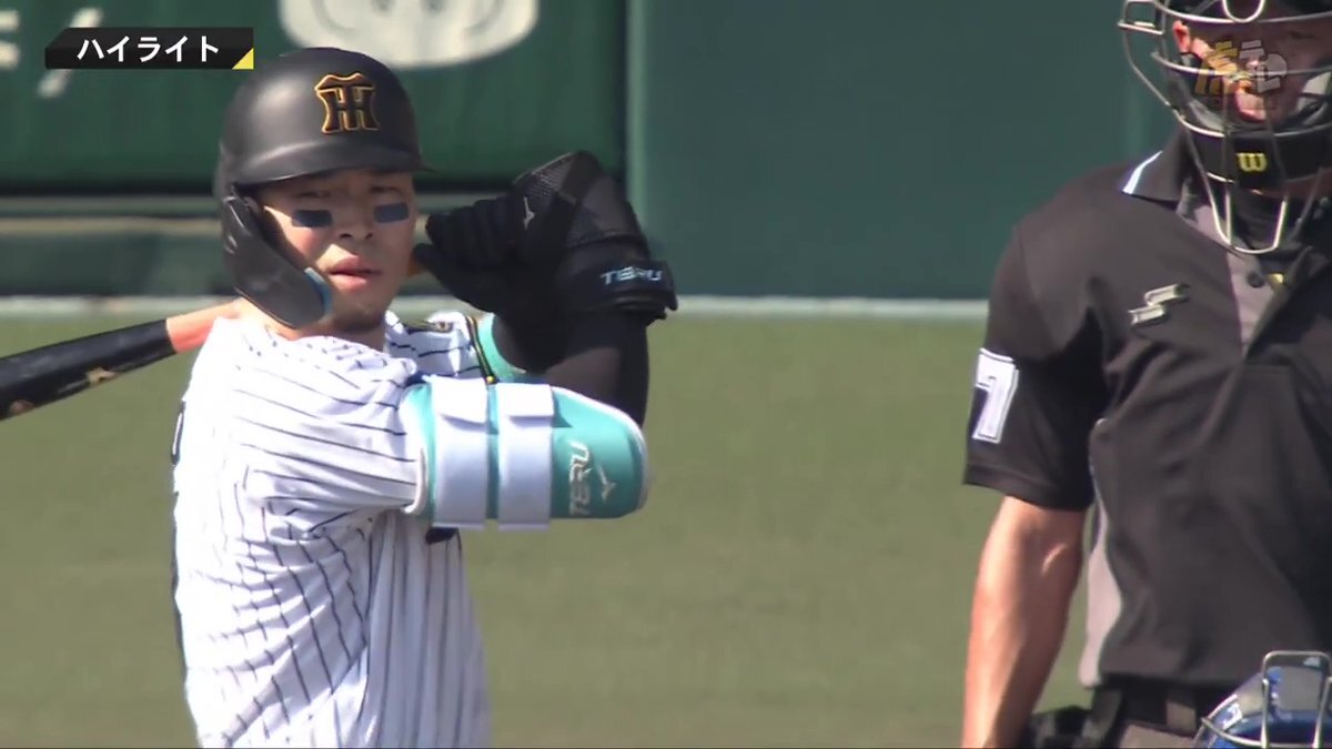 要問合わせ♥️レア♥️本物みたい！ディスプレイ　トラ　タイガー　タイガース 阪神タイガース🐯 - البحث / X