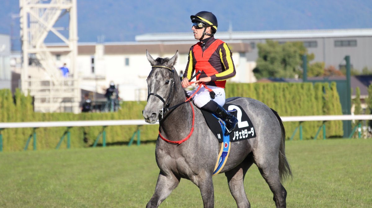 デムーロ騎手、競馬界を熱狂させる！