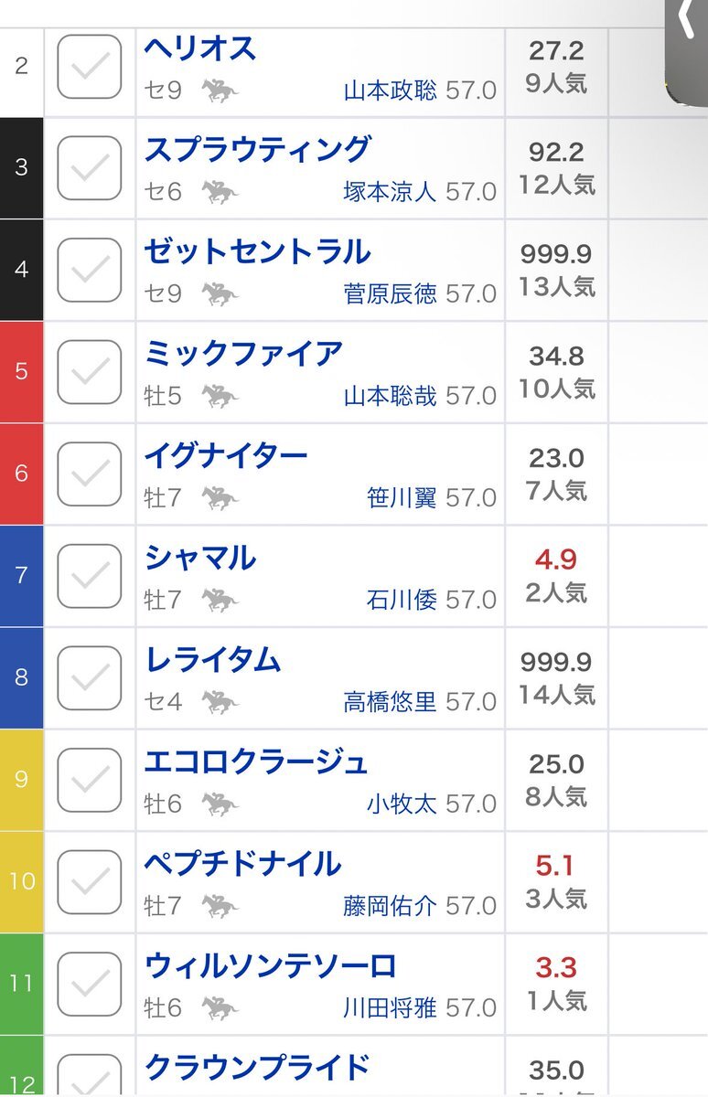 レライタム、南部杯でJpn1に挑戦する！