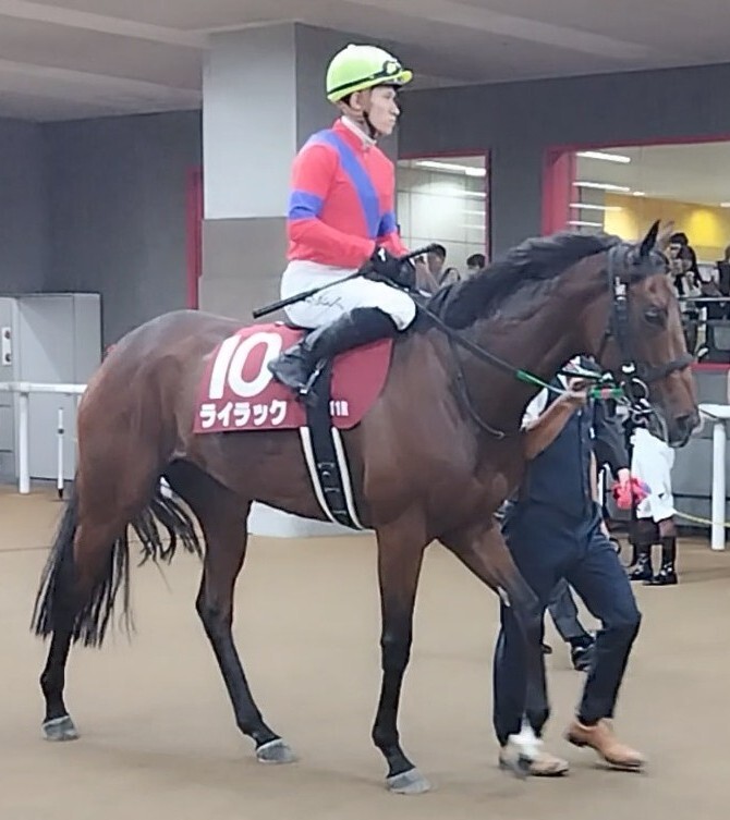 オルフェーヴルさま確認ページ♡ オルフェーヴル産駒 - Search / X