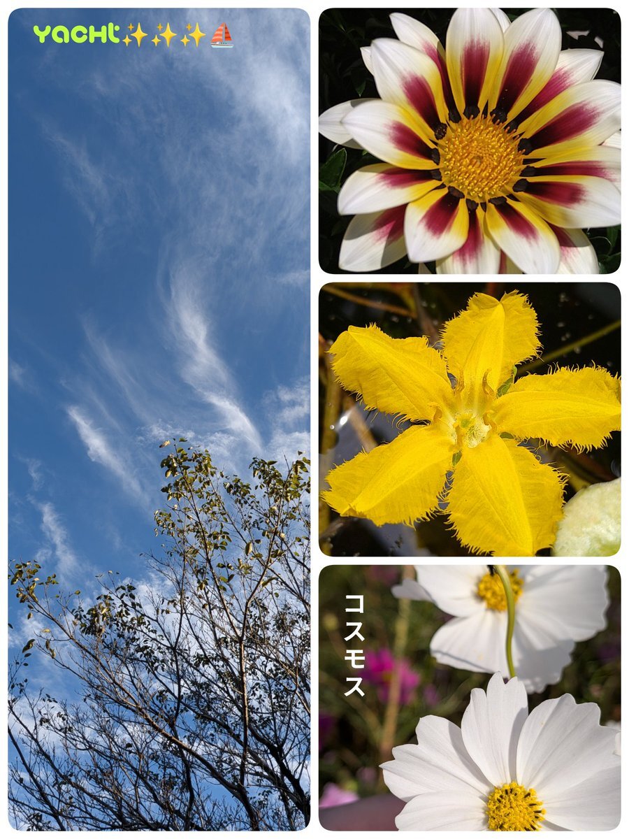 野口英世の誕生日、SNSで話題に