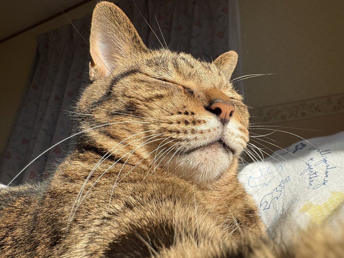 国会議員歳費増に批判殺到　SNS上では「改革」と矛盾の声も