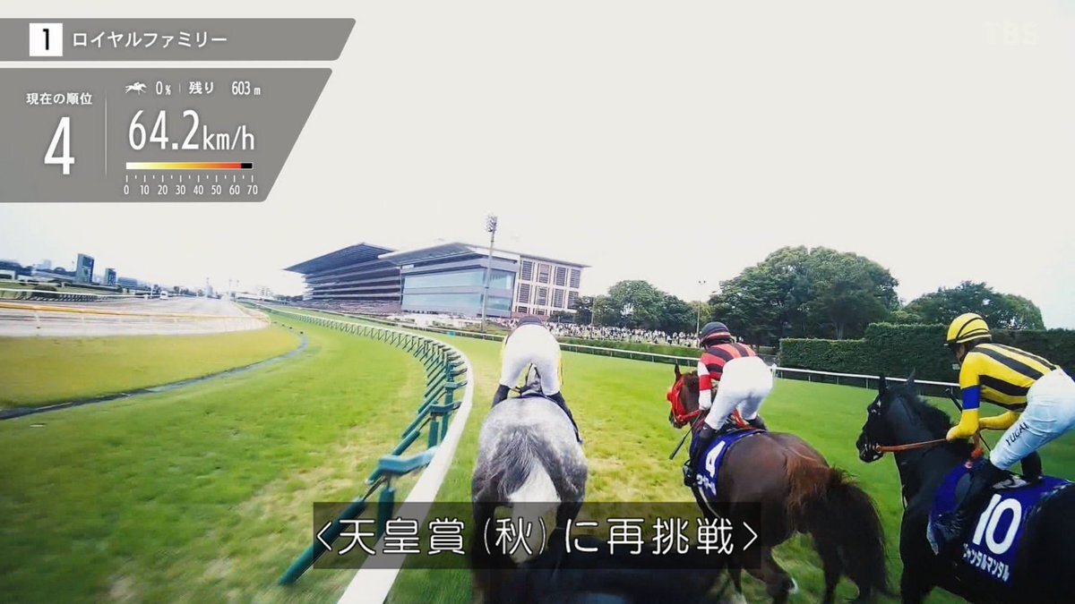 「ザ・ロイヤルファミリー」の活躍にファン興奮！ドラマ展開に注目集まる