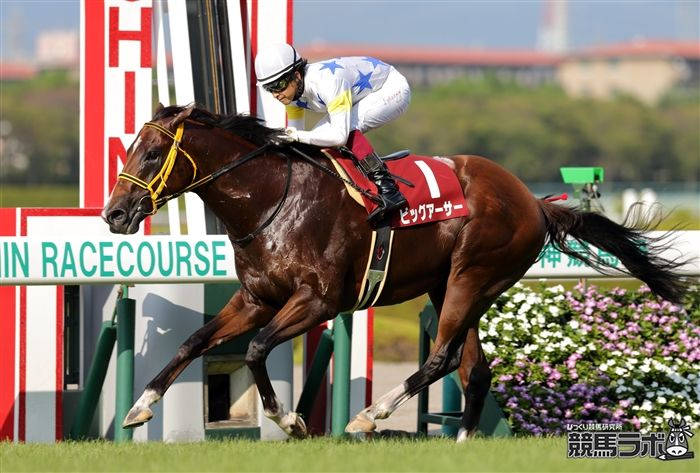 トウシンマカオ引退！テスコボーイ系血統が繋がる種牡馬入り