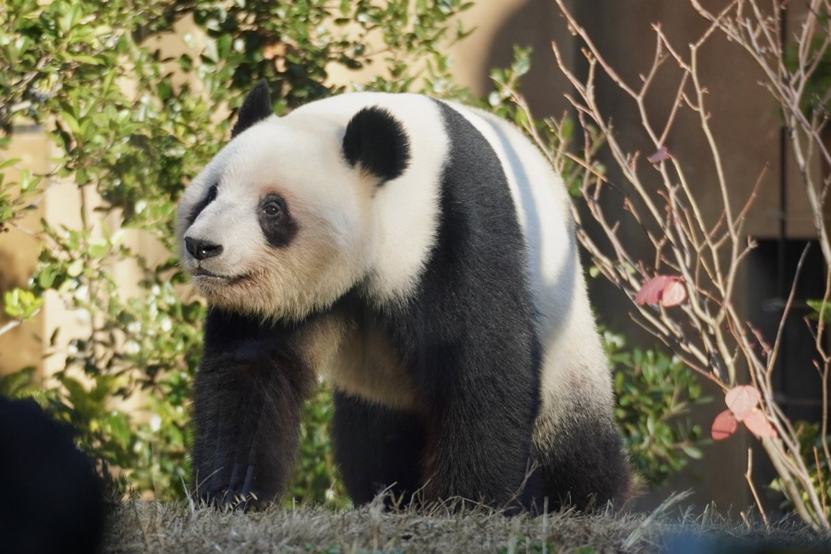 忙しい師走で曜日感覚がバグる？SNSで話題に