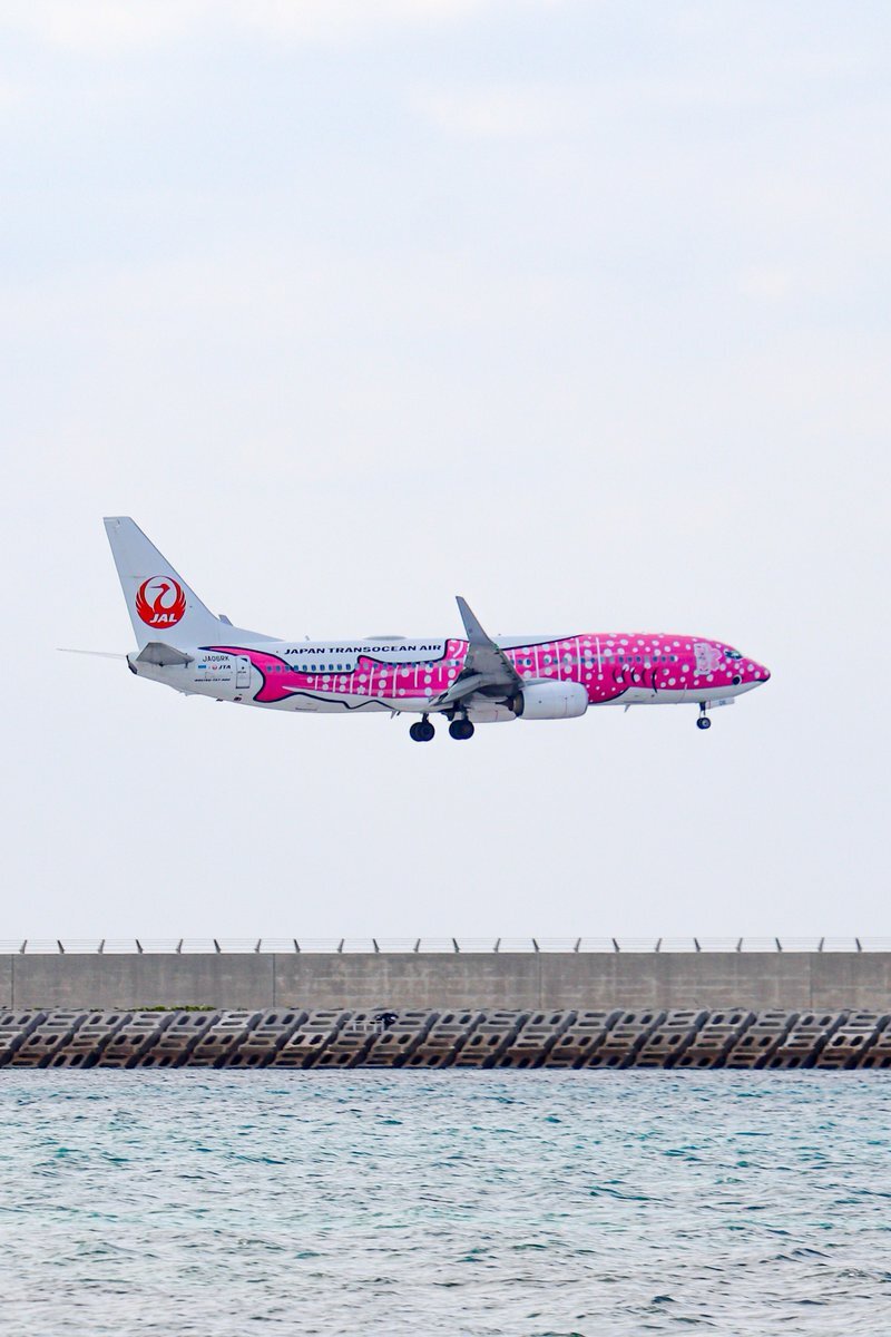 JAL日本トラスト オーシャン航空 機材情報 | JTA日本トランスオーシャン航空