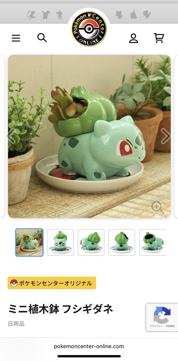 フシギダネ 植木鉢」のYahoo!リアルタイム検索 - X（旧Twitter