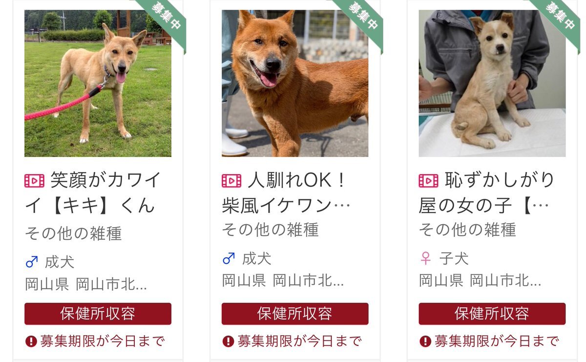 キキ様確認画面。 キキ様確認画面。 アクセサリー
