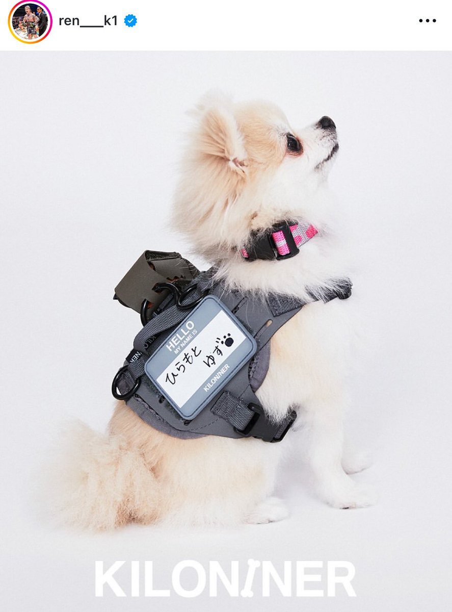 ゆず グッズ」のYahoo!リアルタイム検索 - X（旧Twitter）を