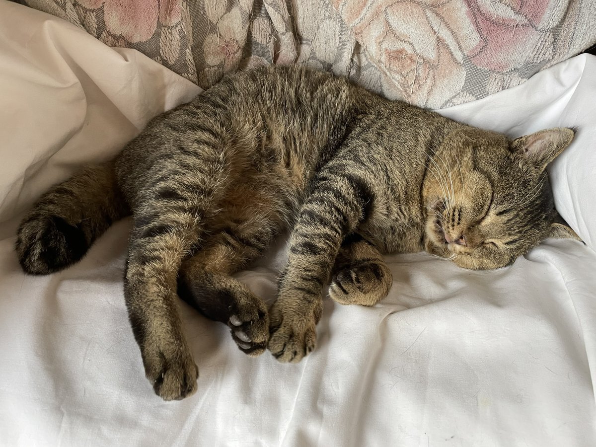 iPhone 17、予約開始に期待が高まる！