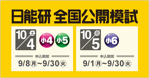 日能研　5年　全国公開模試他　12回　2019年度　中古　原本 日能研 5年 全国公開模試他 12回 2019年度 中古 原本 2019年度日能研