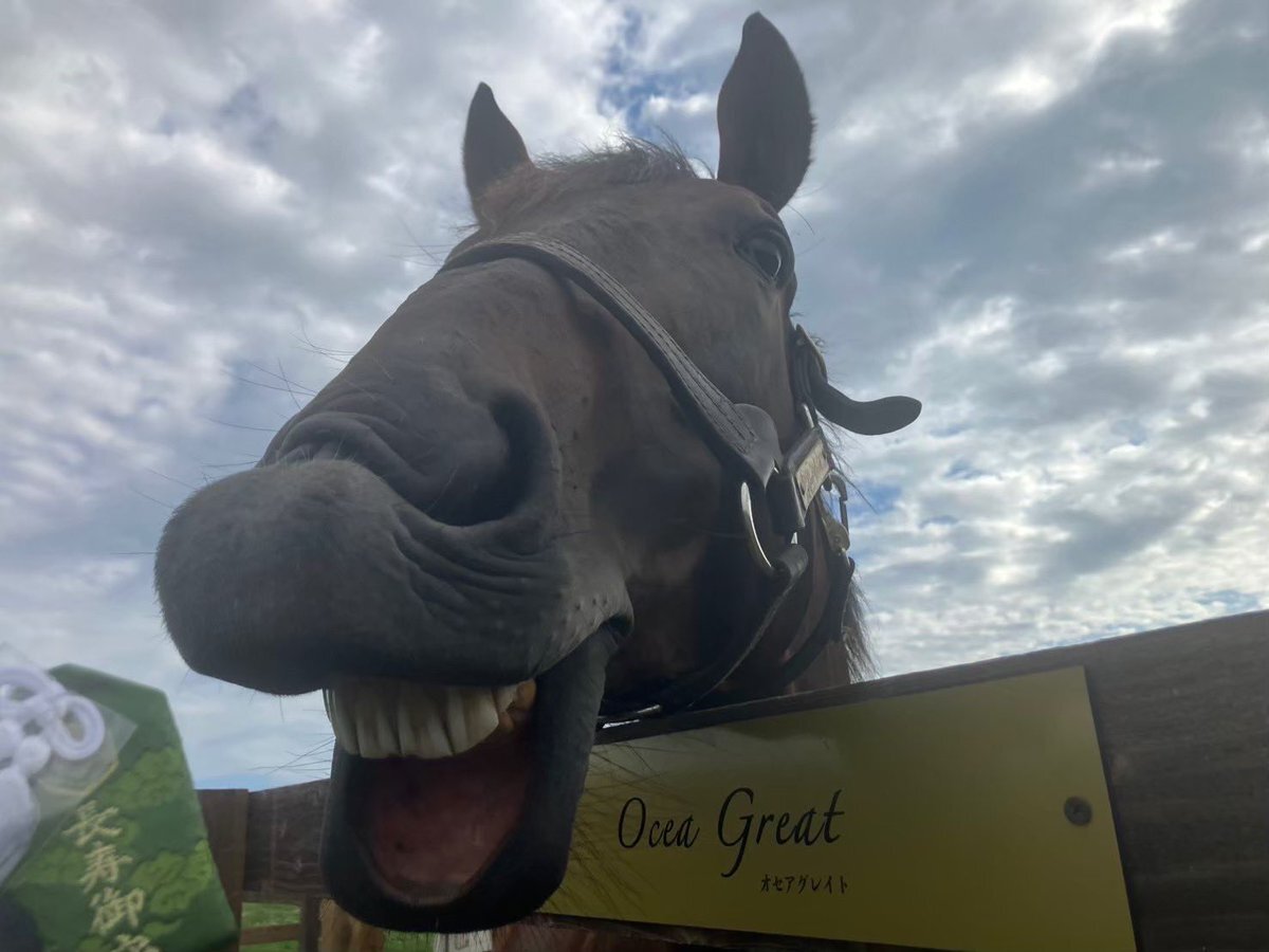 オルフェーヴル」のYahoo!リアルタイム検索 - X（旧Twitter）を