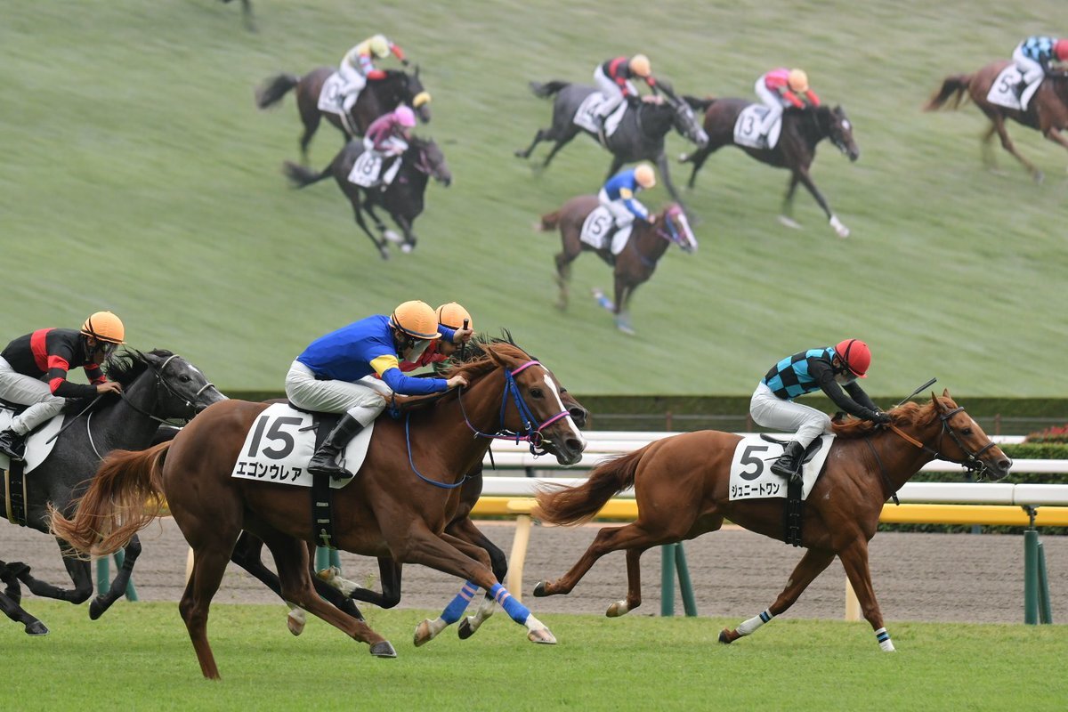 エゴンウレア、デビュー戦で勝利！ 