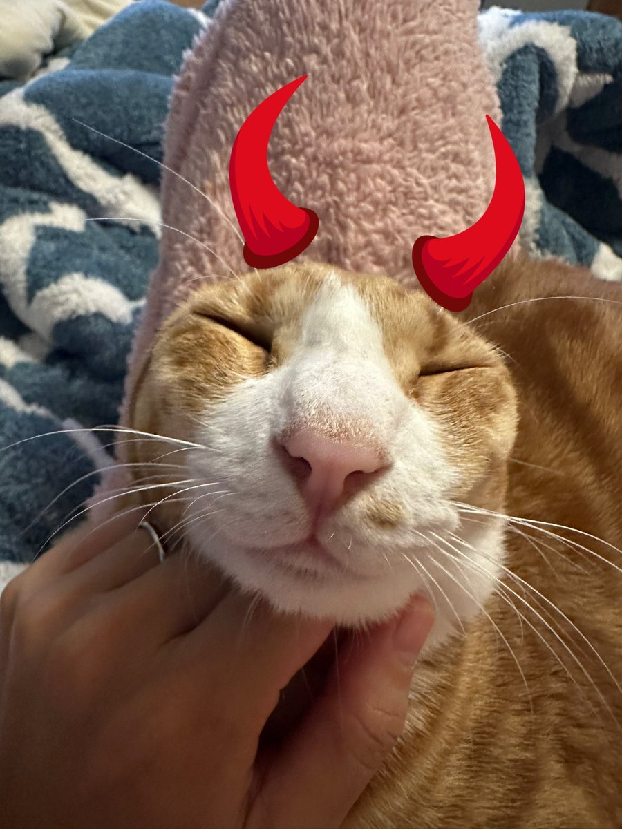 目が覚めた人がSNSで報告！早起きは三文の徳？