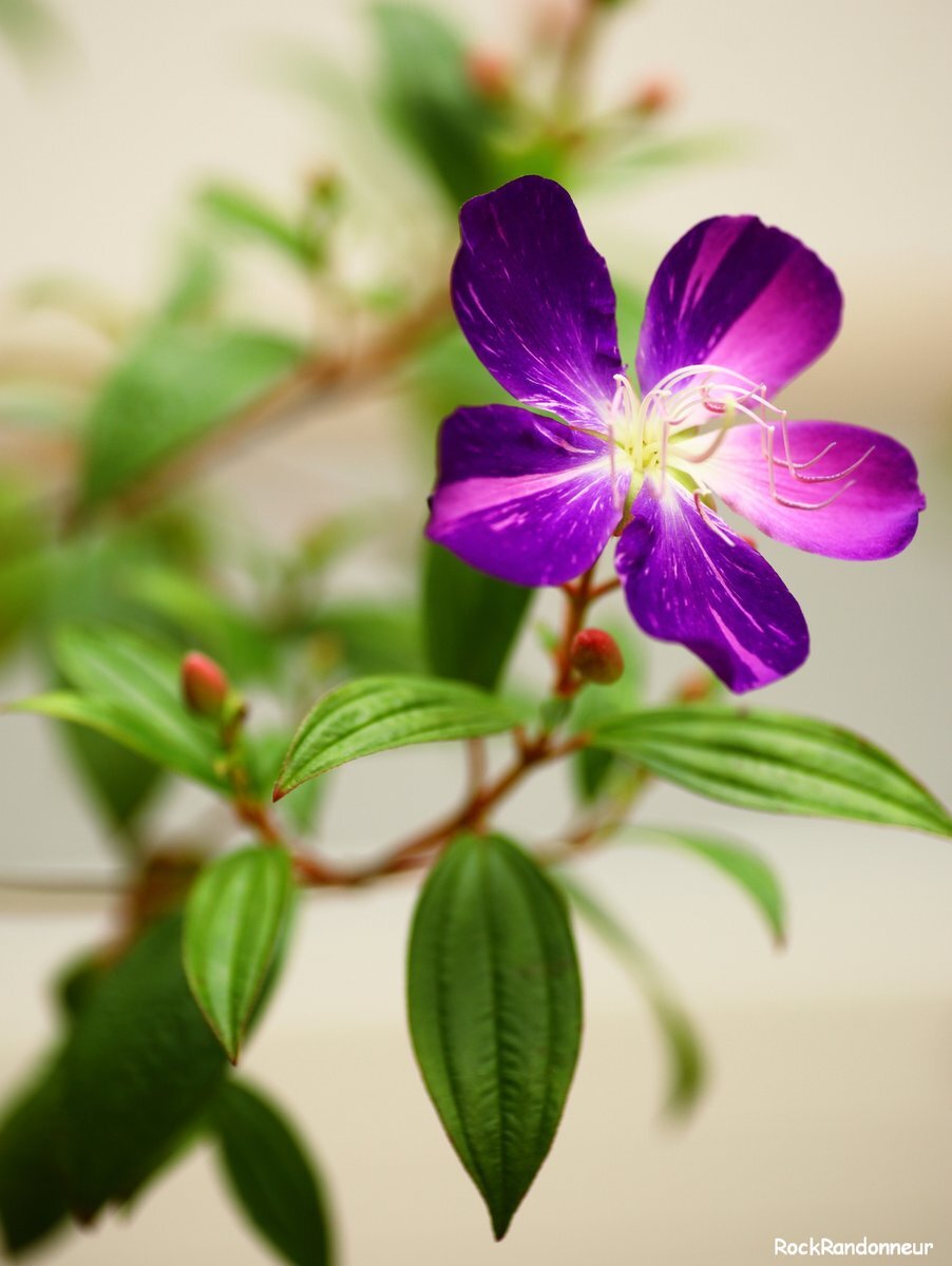 今季最低気温、日本各地で寒さが到来！