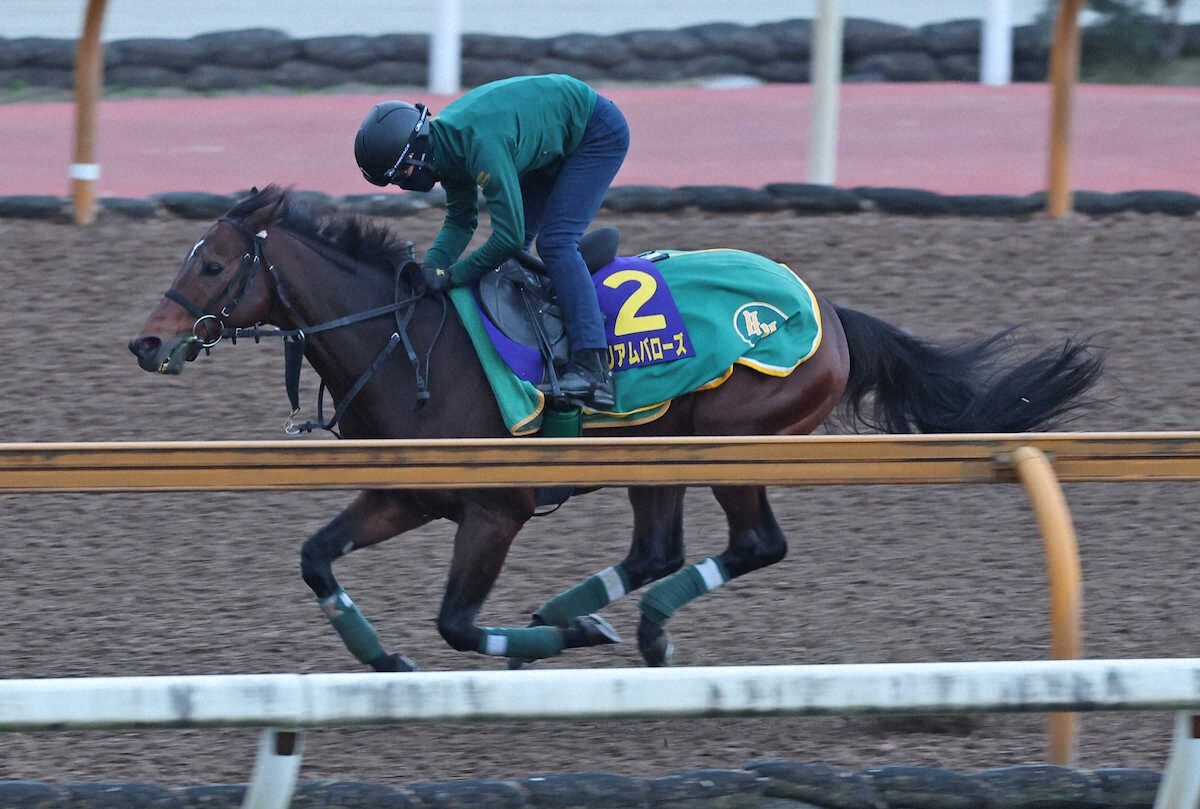 ダート重賞2勝馬ウィリアムバローズ、浦和競馬へ移籍へ