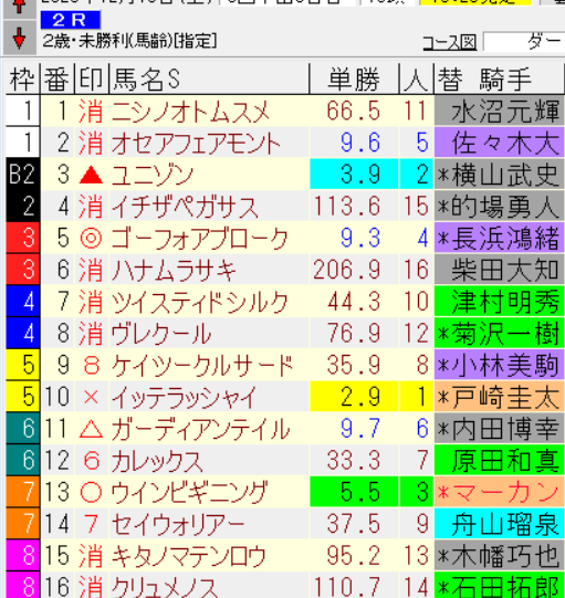 ゴーフォアブローク、ダート転向で2着！ファン期待高まる