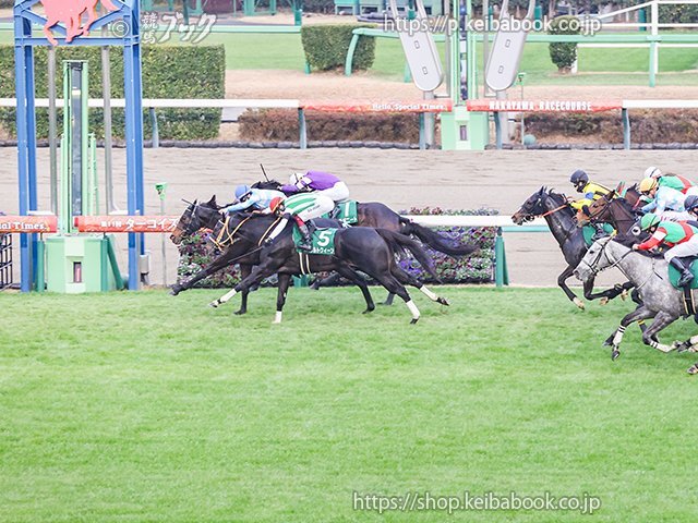 ドロップオブライトが勝利！松若風馬騎手、JRA通算500勝達成！