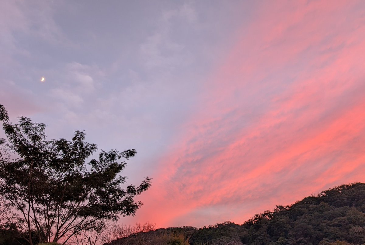 吉澤閑也、生配信でファンを魅了！